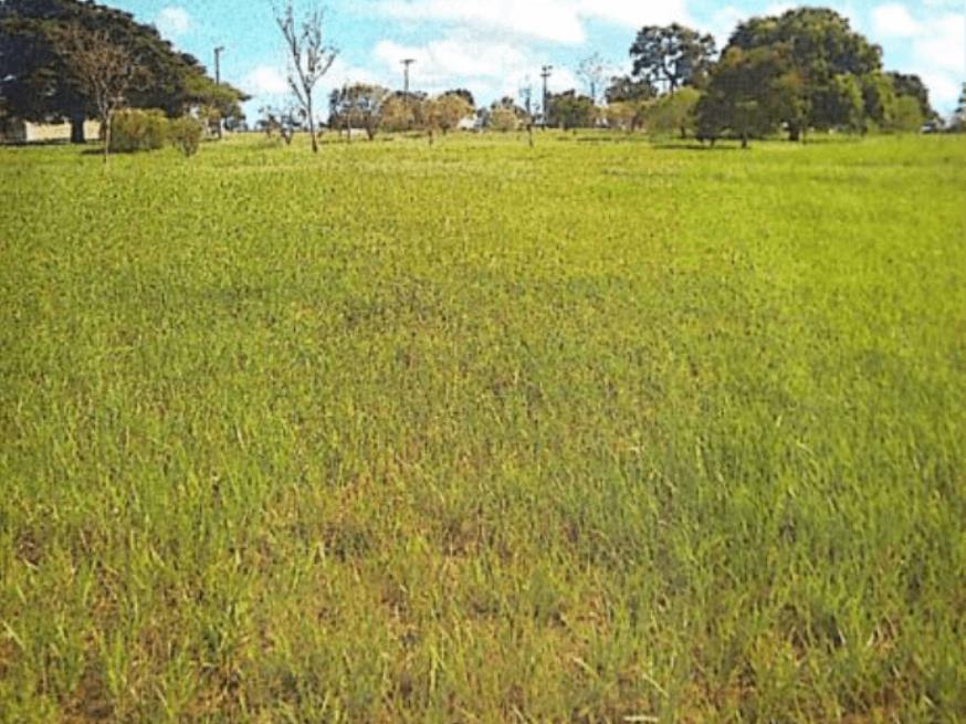 Foto ilustrativa 4 - Terreno com A.T 800,00m²