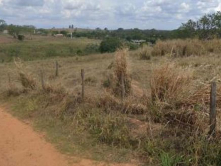 Foto ilustrativa 2 - Imóvel Rural com A.T 7,5851 hectares