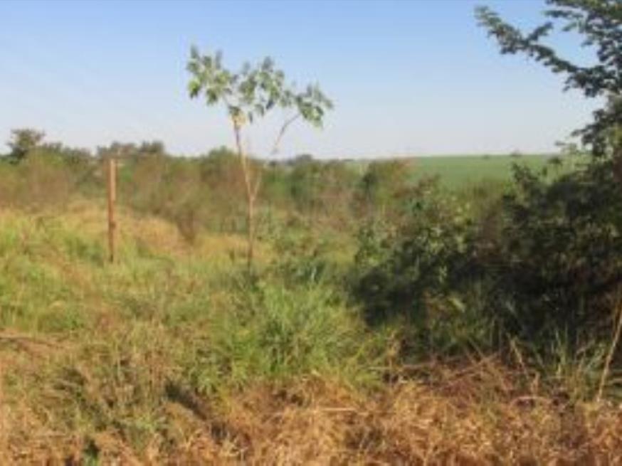 Foto ilustrativa 3 - Terreno com A.T 31.898,24m²