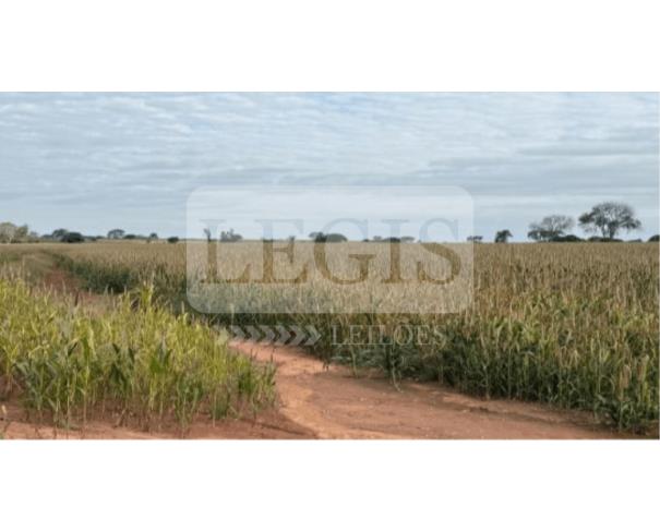 Foto de Imóvel Rural com 2,49 hectares