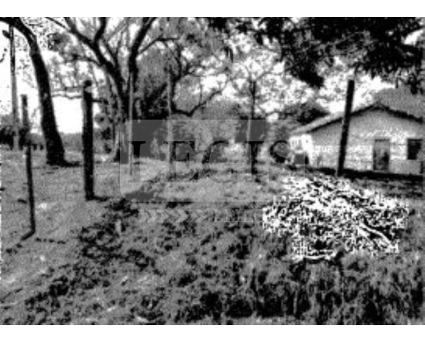 Foto de Imóvel Rural com A.T 36 alqueires
