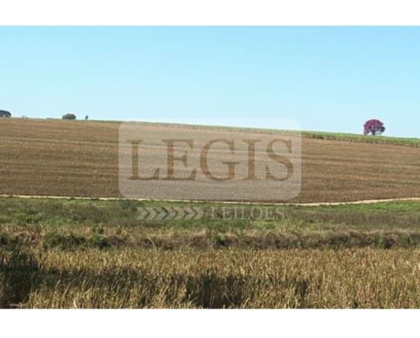 Foto de Imóvel Rural com 2,49 hectares