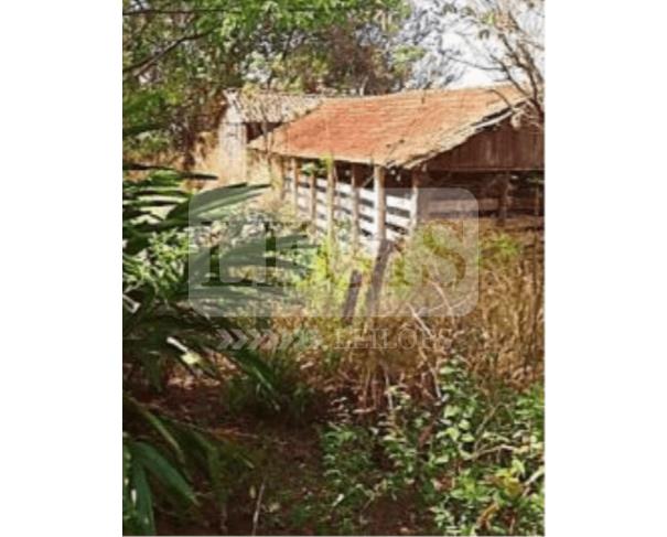 Foto de Imóvel Rural com A.T 36 alqueires 