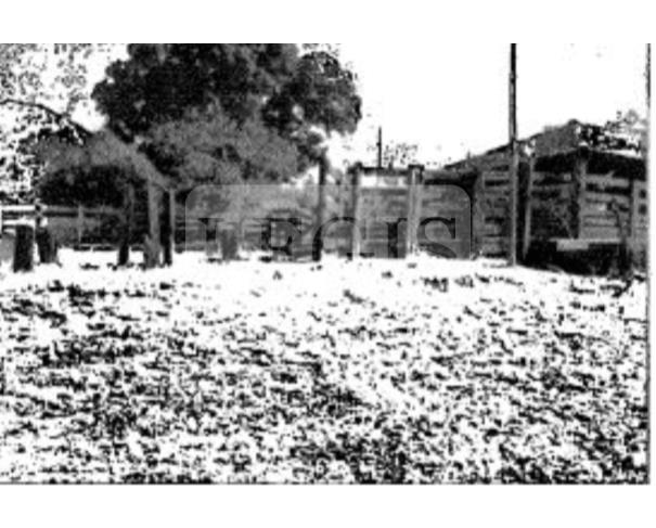 Foto de Imóvel Rural com A.T 36 alqueires